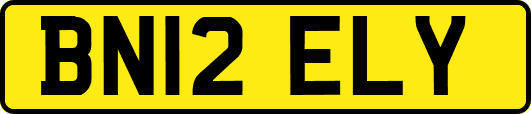BN12ELY