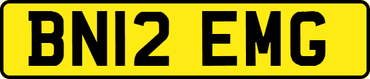 BN12EMG