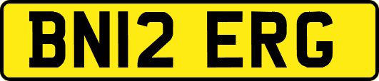 BN12ERG