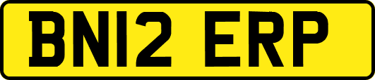 BN12ERP
