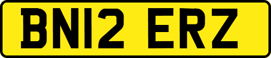 BN12ERZ