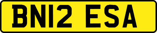 BN12ESA