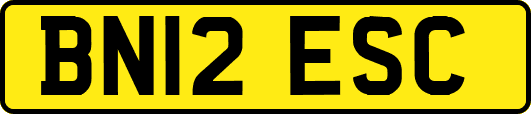 BN12ESC