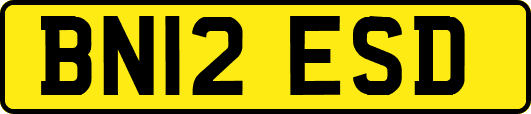 BN12ESD