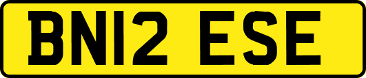 BN12ESE