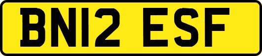 BN12ESF