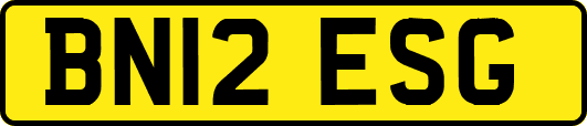 BN12ESG