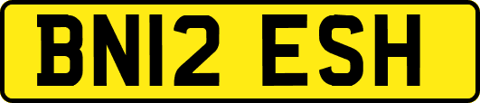 BN12ESH