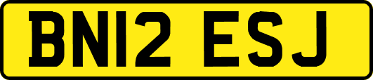BN12ESJ
