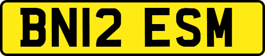 BN12ESM