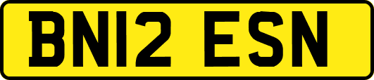 BN12ESN