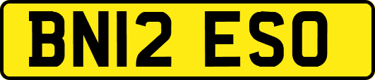 BN12ESO