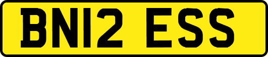 BN12ESS