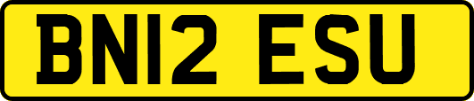 BN12ESU