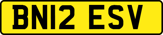BN12ESV