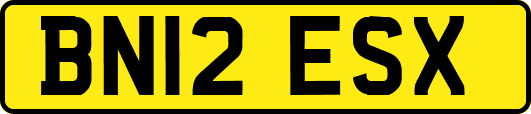 BN12ESX
