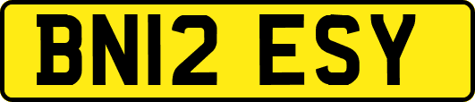 BN12ESY