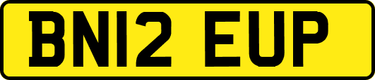 BN12EUP