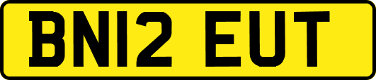 BN12EUT