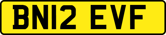 BN12EVF