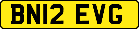 BN12EVG