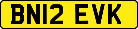 BN12EVK