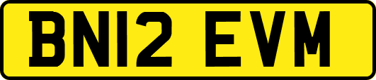 BN12EVM