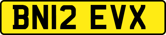 BN12EVX