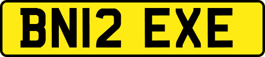 BN12EXE