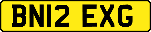 BN12EXG