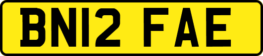 BN12FAE