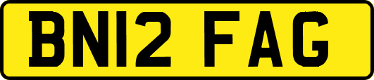 BN12FAG