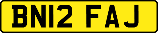 BN12FAJ