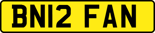 BN12FAN