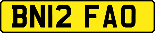 BN12FAO
