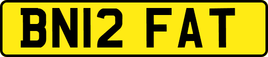 BN12FAT