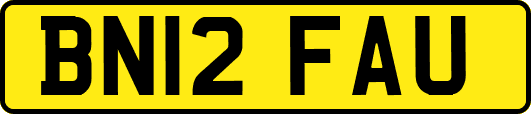 BN12FAU