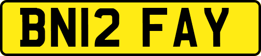 BN12FAY