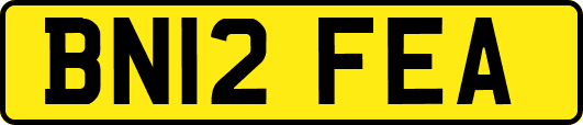 BN12FEA