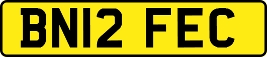 BN12FEC