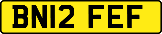 BN12FEF