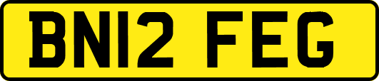 BN12FEG