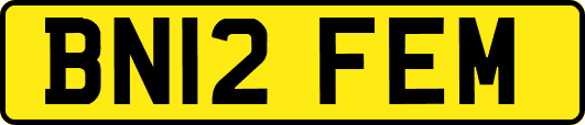 BN12FEM