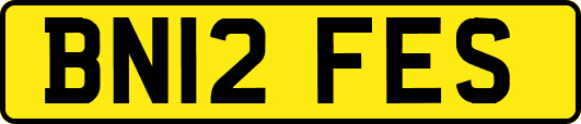 BN12FES