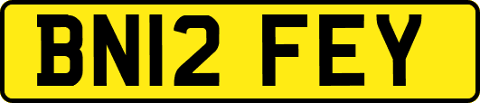 BN12FEY