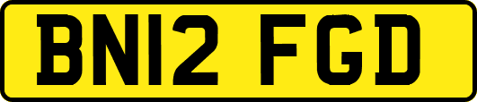 BN12FGD