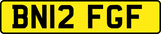 BN12FGF