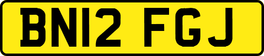 BN12FGJ