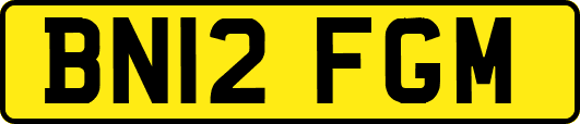 BN12FGM