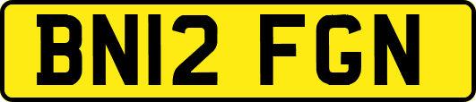 BN12FGN